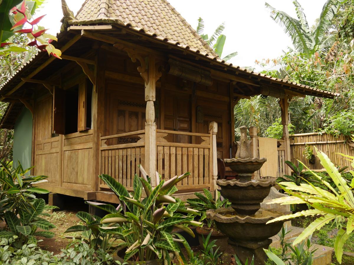 Bali Mountain Retreat Villa Selemadeg  Exterior photo